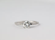Solitaire Brilliant Cut Pave Band Diamond Engagement Ring | 18K White Gold
